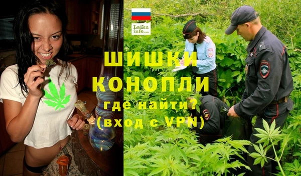 эйфоретик Снежногорск