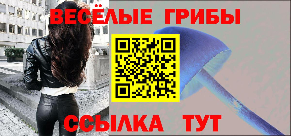 Галлюциногенные грибы Psilocybine cubensis Кондопога